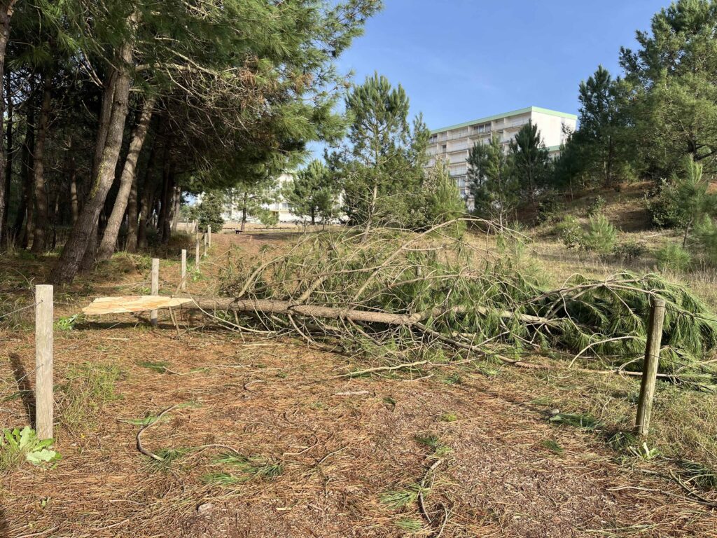 2024-11 Tempête Cataneo